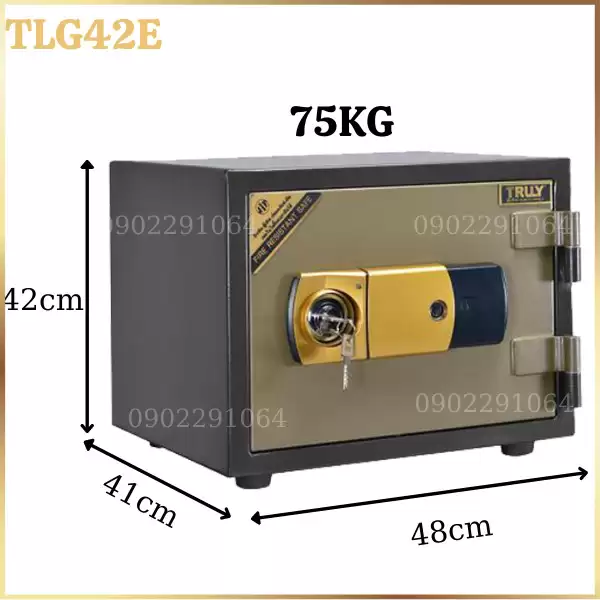 Két sắt truly gold TS42E điện tử